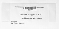 Image Associated With the Occurence